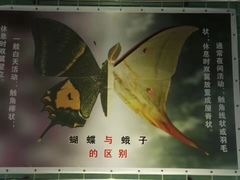 -上海大自然野生昆虫馆