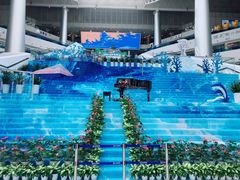 -招商蛇口邮轮母港(观光客运)