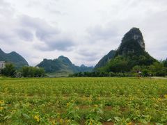 -靖西鹅泉风景区