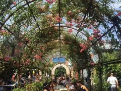 -The Grounds of Alexandria