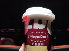 -哈根达斯(石家庄北国店)