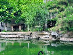 -三里河公园