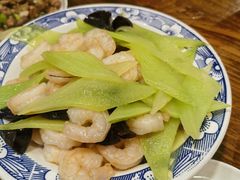 -大队长大灶鹅