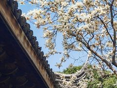 -惠山古镇·寄畅园