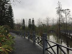 -田野绿世界
