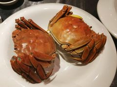 -蟹榭·本帮江浙菜·蟹宴(五角场合生汇商场店)