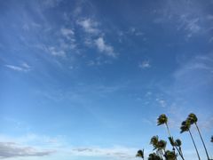 -白沙滩