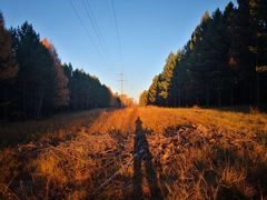 -塞罕坝国家级自然保护区