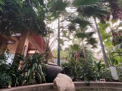 -国信南山温泉