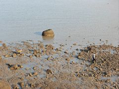 -宁波松兰山滨海旅游度假区