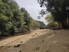 -广州白江湖森林公园