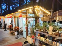 -小小饭店·休闲农庄·安吉松树林里的农家菜