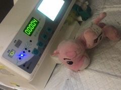 -美联众合爱康动物医院•复杂内科•肿瘤科•牙科•腔镜诊疗中心
