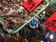 -强记海鲜·大排档(蛇口新街店)