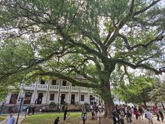 -溪口-滕头旅游景区