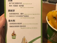 菜单-Salud撒露欧洲冻酸奶(蓝色港湾店)