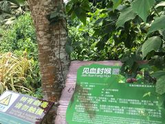-海南热带野生动植物园