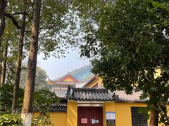 -杭州半山国家森林公园