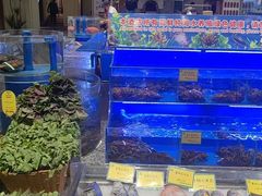 -新海渔港·胶东海鲜家常菜·家宴(奥体中心店)