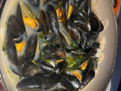 -Oyster Talks 四度蚝法餐厅