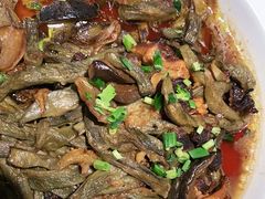 -鸽子窝(宋庄店)