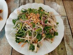 -东鸽皇(奥园·中环广场店)