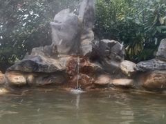 -深业半汤御泉庄温泉