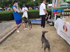 -汇泉广场