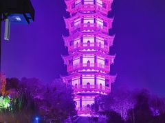 -绳金塔