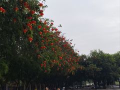 -福神岗公园