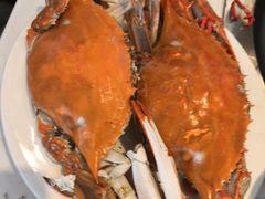 -半岛听涛蒸汽海鲜自助(K11店)