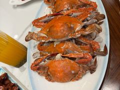 -今鲜源酒店·海鲜锅贴青岛菜(新湛路店)