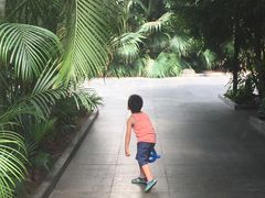 -龙达温泉生态城