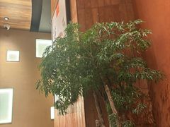 -话梅·客家小厨(东门店)