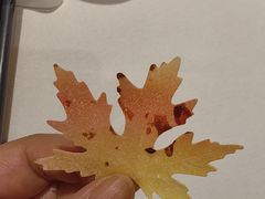 -南麓·浙里(外滩店)