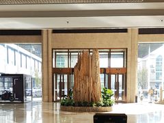 -兴芮温泉度假区