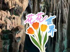 -灵栖洞天