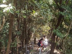 -广州市石门国家森林公园