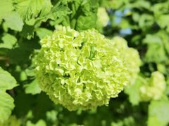 -北京植物园南门售票处