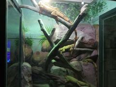 -福州罗源湾海洋世界旅游区