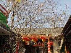 -张家大院·鲁菜·私房菜(芙蓉街店)
