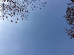 -连云港民主路老街
