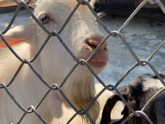 -荆州中山公园动物园