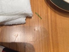 -7017浙菜•建德味(中财店)
