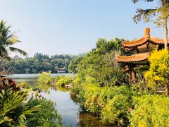 -深圳仙湖植物园