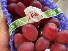 -马陆小张葡萄园农家乐