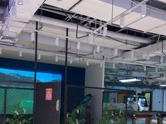 -释鸭台球桌游馆·年会生日团建聚会