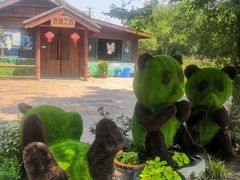 -鹅湖玫瑰文化园