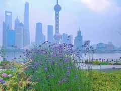 -北外滩滨江绿地