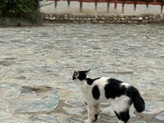 -札达土林-托林寺